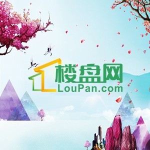 希尔顿公馆:泸州年度红盘,卖毛坯,刚需入手